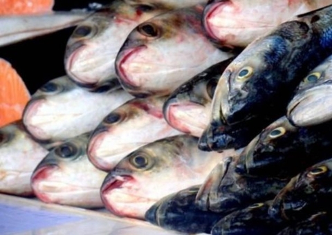 Casos de 'doença da urina preta' ultrapassam 50 no Amazonas