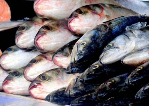 Manaus registra novo caso e ‘doença da urina preta já afeta 54 pessoas no Amazonas