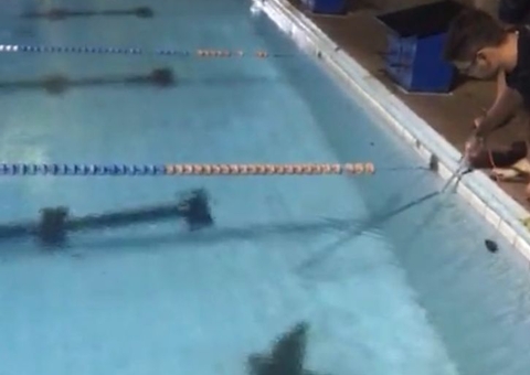 Vídeo mostra jacaré em piscina do Bosque Clube em Manaus