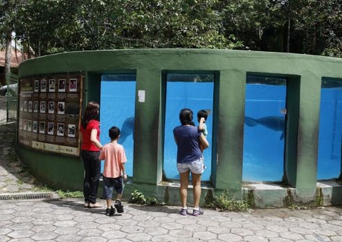 Inpa celebra dia da Amazônia com debate sobre conservação