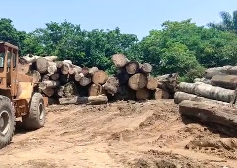 700 metros de madeira ilegal são apreendidos em serrarias de Manacapuru