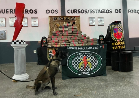Após denúncia anônima, polícia encontra 80 kg de drogas em Manaus