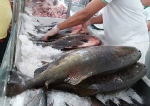 Casos de doença da urina preta chegam a 78 no Amazonas