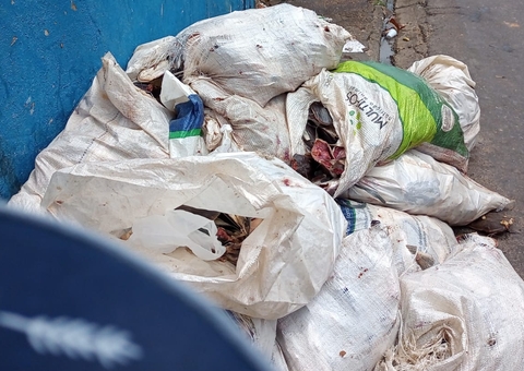 Calçada de escola vira ponto de lixeira viciada em Manaus