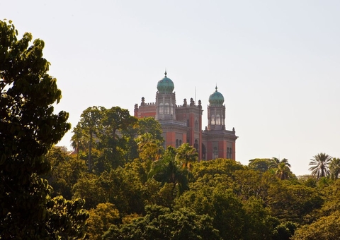 Fiocruz participa de estudo com novo medicamento contra a covid-19