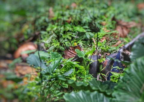 Homem achado em mata foi morto a tiros na hora de foguetório do CV em Manaus