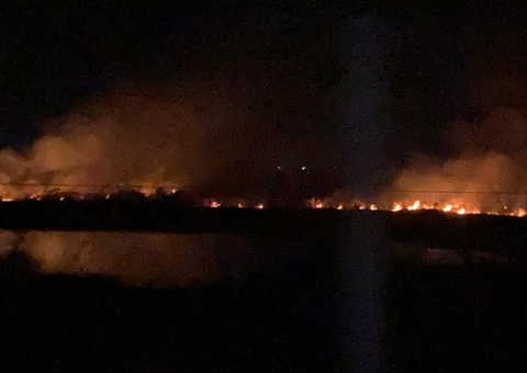 Incêndio atinge área de mata próximo à Ponte Rio Negro em Manaus; vídeo