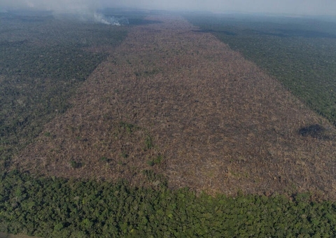 Índice de desmatamento cresce 71% em um ano no Amazonas