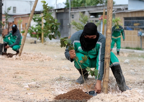 Aniversário de Manaus é comemorado com plantio de 352 mudas de plantas nativas