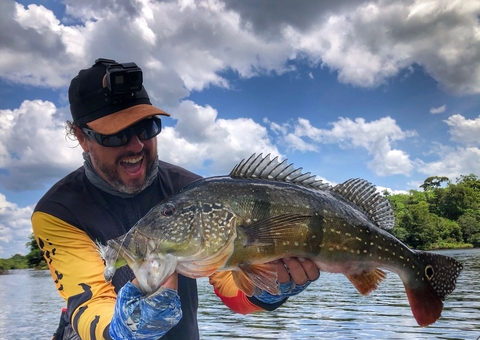 Tucunaré, o ouro renovável da Amazônia