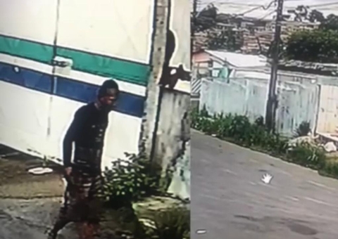 Homem é preso após matar cadela a facadas em Manaus