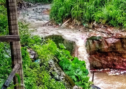 Esquartejado, corpo é encontrado boiando em igarapé na zona Oeste de Manaus