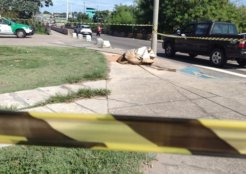 Polícia identifica mulher achada em saco de lixo em avenida de Manaus
