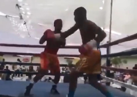 Vídeo: Boxeador morre aos 23 anos após ser nocauteado em luta