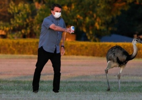 Em decreto, Bolsonaro concede a si mesmo a Medalha do Mérito Científico