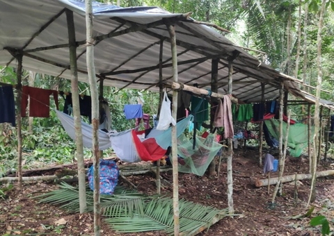 440 trabalhadores foram resgatados de trabalhos análogos à escravidão no Amazonas