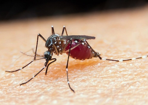 Ministro da Saúde participa de evento sobre a malária em Manaus