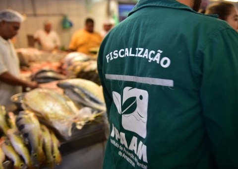 Período de Defeso começa na próxima semana no Amazonas; Confira