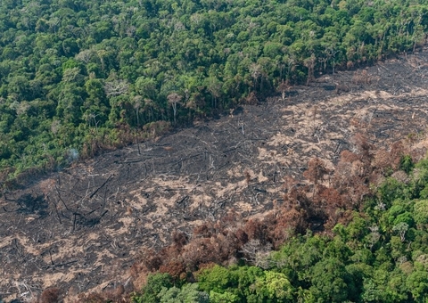 Intervenções na Amazônia podem gerar epidemias, diz historiador da Fiocruz