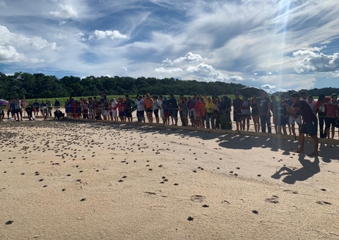 Mais de 270 mil filhotes de quelônios são soltos em rio no Amazonas