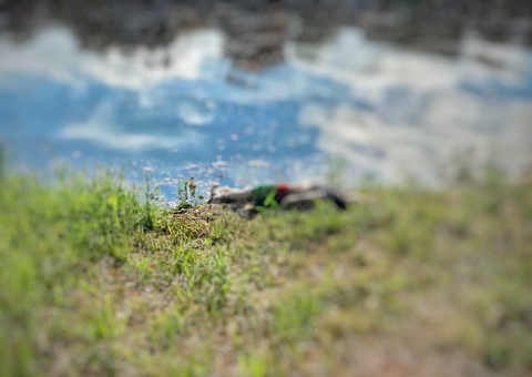 Com pés e mãos amarrados, corpo é achado boiando debaixo de ponte em Manaus