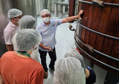 Empresa vai testar produção de kombucha desenvolvida no Centro de Biotecnologia da Amazônia  