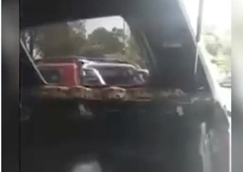 Morador captura sucuri de 4 metros no quintal de casa; veja vídeo