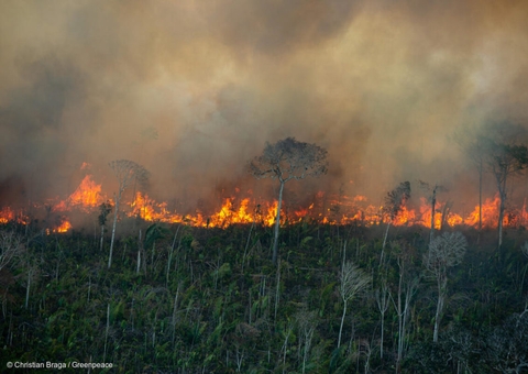 Amazônia registrou 73,4 mil focos de incêndios de janeiro a novembro