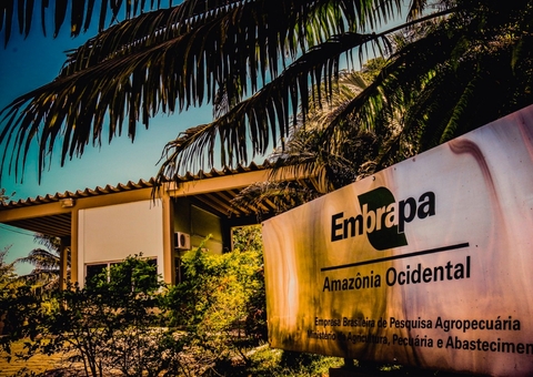 Embrapa Amazônia Ocidental divulga seu primeiro Edital de Inovação Aberta