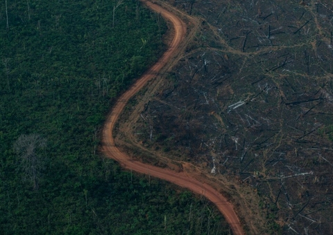 Apuí no Amazonas lidera índice de queimadas em 2021