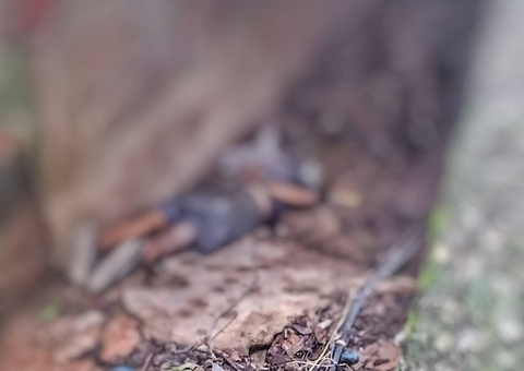 Com mãos e pés amarrados, homem é achado morto debaixo de ponte em Manaus