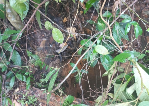 Corpo de homem é achado em decomposição dentro de bueiro em Manaus 