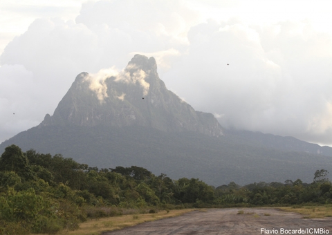 Após 5 anos fechado, Pico da Neblina reabre para visitação em janeiro