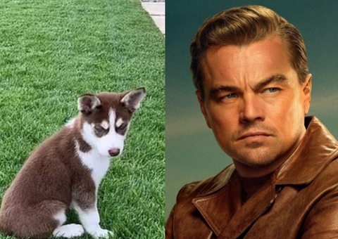 Leonardo DiCaprio pulou em lago congelado para salvar os próprios cães