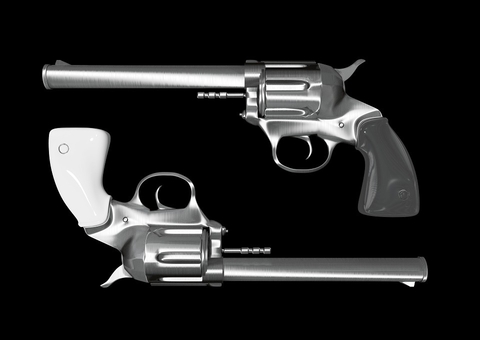 CCJ adia para 2022 votação de projeto que flexibiliza porte de armas