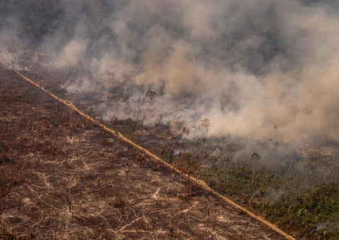 Em 3 anos, desmatamento em terras indígenas da Amazônia cresceu 130%