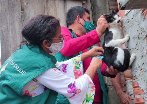 Postos fixos de vacinação antirrábica atendem até sexta-feira em Manaus