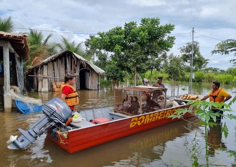 Chuvas e alta de rios deixam ao menos 340 desabrigados em Tocantins