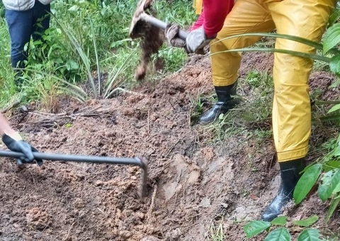 Adolescente teve os braços quebrados antes de ser enterrado em plantação de abacaxi no Amazonas