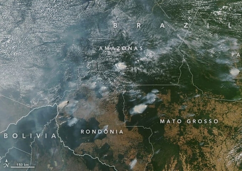 Ano eleitoral e asfaltamento da BR-319 podem aumentar queimadas no Amazonas