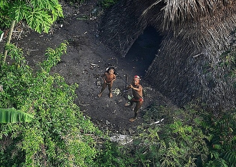 MPF cobra renovação de portaria destinada a proteger área de índios isolados no Amazonas