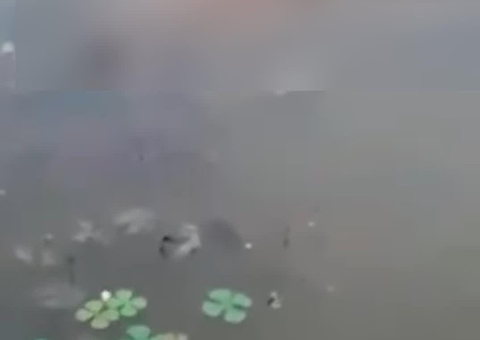 Mulher é assassinada e jogada em igarapé no Amazonas