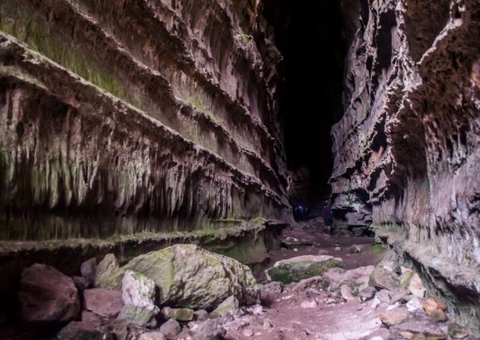 Lewandowski suspende trecho do decreto de Bolsonaro que autoriza construção em cavernas