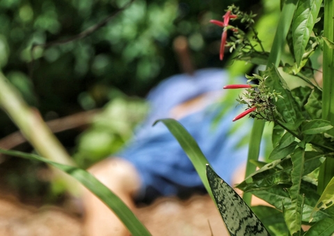 Sobrinho mata tio a facadas após flagrar filha sendo aliciada em Manaus