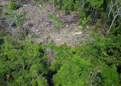 Coiab cobra medidas de proteção a grupo indígena isolado em Lábrea