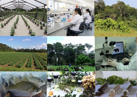 Embrapa recebe propostas de projetos de inovação até domingo