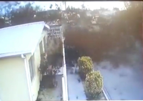 Vídeo chocante mostra centenas de pássaros caindo mortos sobre casas no México; assista