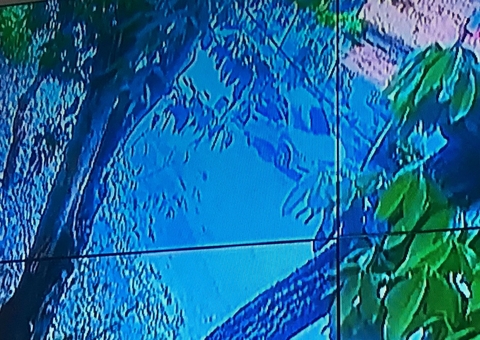 Assaltantes roubam carro e fazem 'a limpa' em casa de motorista de app em Manaus