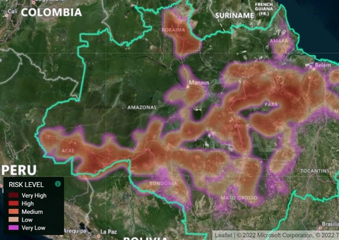 Risco de desmatamento na Amazônia este ano pode chegar a 15.391 km²