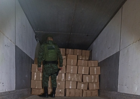 Carga de pescado ilegal avaliada em R$ 230 mil é apreendida no Amazonas